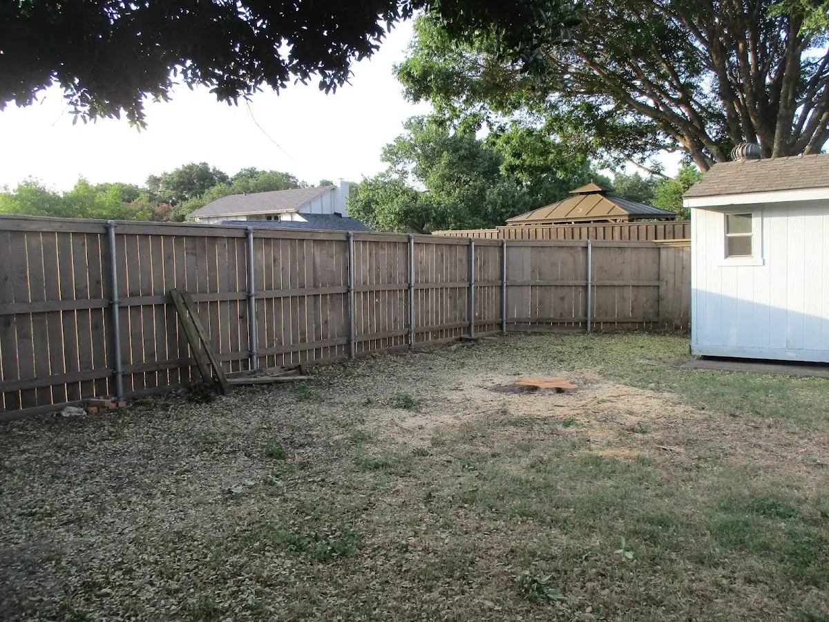 Cleared yard after professional tree removal in Saint John